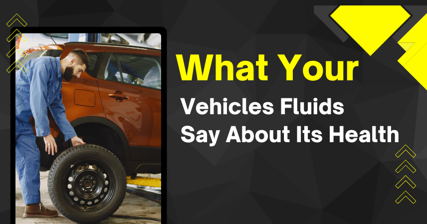 What Your Vehicles Fluids Say About Its Health